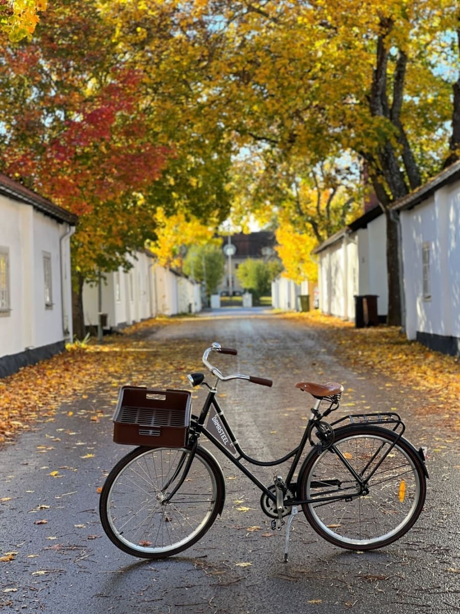 Damasteel bike, old house, nature, autumn