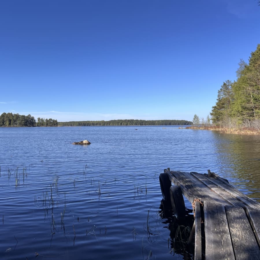 Blue sky with dark green forest in the distance, lake with dark blue water in the foreground with an old weathered dock.
